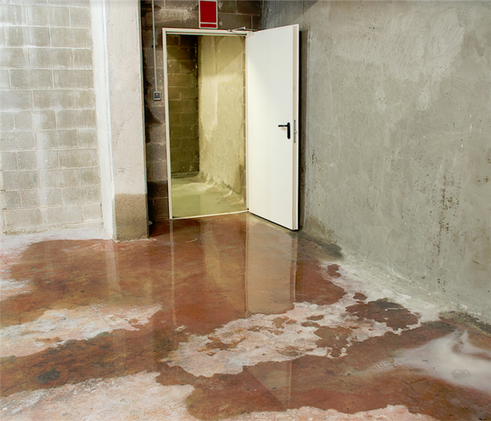 a flooded basement with puddles of water everywhere