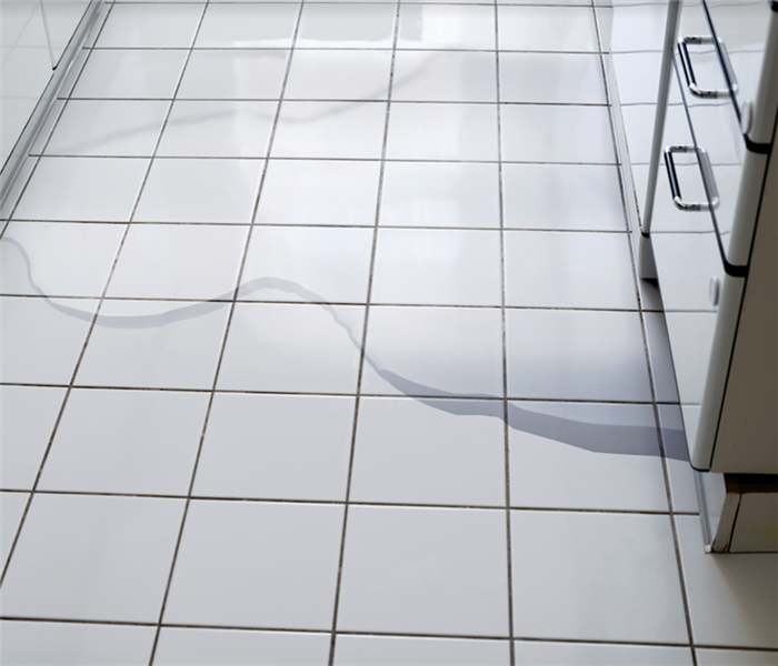 puddles of water on the tile floor of a kitchen